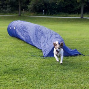 Agility Tunnel With Chute 5m