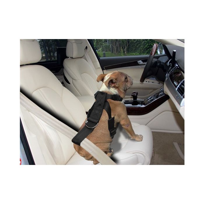 Topmast Car Safety Harness Adjustable Medium 50-70cm