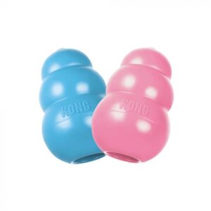 Kong Pasta Puppy Treat