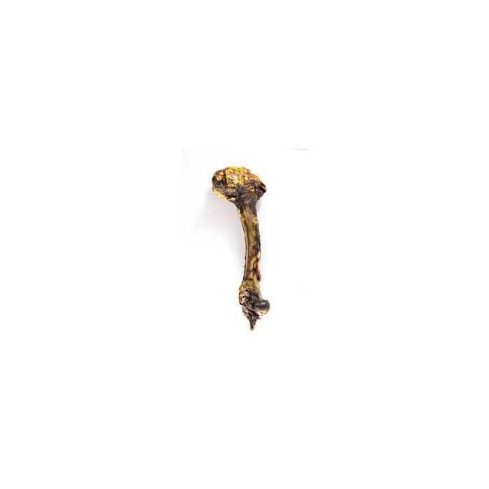 Ham Bone Deer Dried