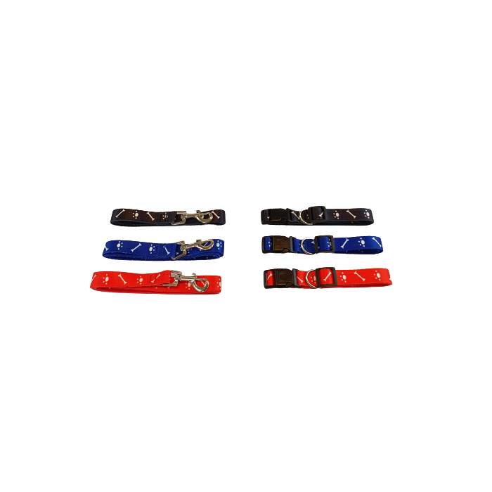 Puppy Leash + Collar Nylon Blue- 20mm