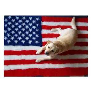 Vet Bed American Flag - Anti Slip Dog Mat - 150 x 100 cm