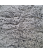 angora-1