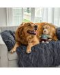 fluffy_bankcover_1