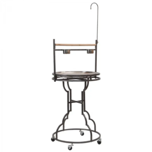 Parrot Stand Duke