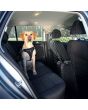 honden-veiligheidsnet