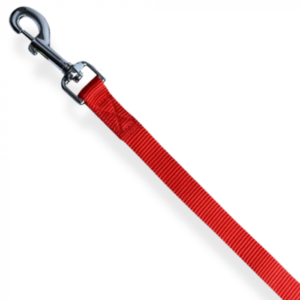 Nylon Dog Leash Red 180cm | 25mm