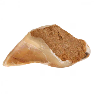 Beef Hoof Filled with Pate