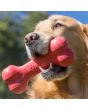 kong_goodie_bone1_1_1
