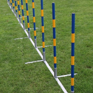Topmast Professional Agility Slalom Set - 12 Poles - Straight