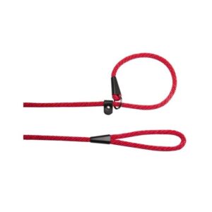Slip Lead Nylon Red 170 cm 10 mm