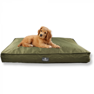 Beau & Bess Dog Cushion - Oxford Piping Green 95 x 60 x 13 cm
