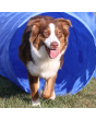 topmast_agility